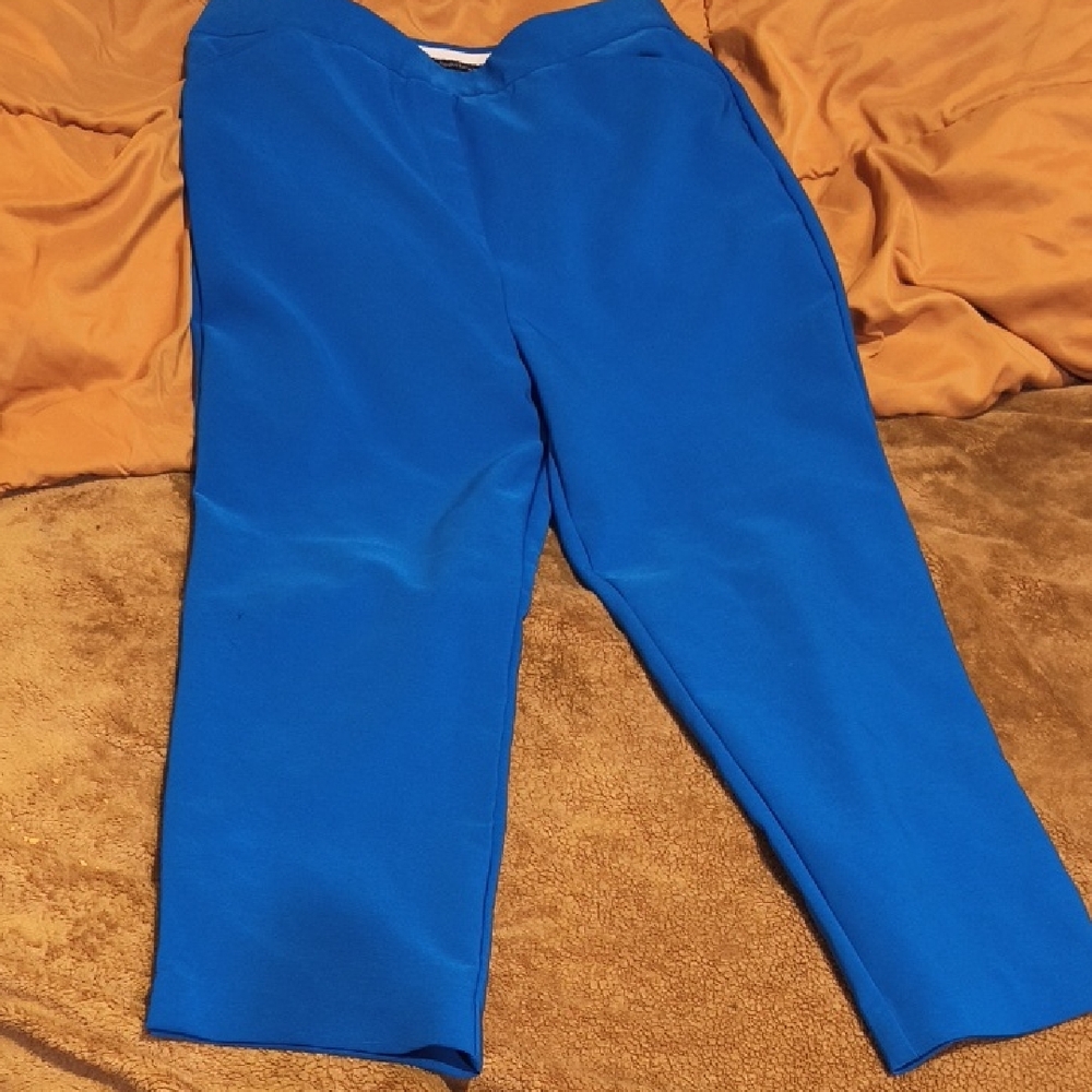 Counterparts Royal Blue Trousers W Pockets 10